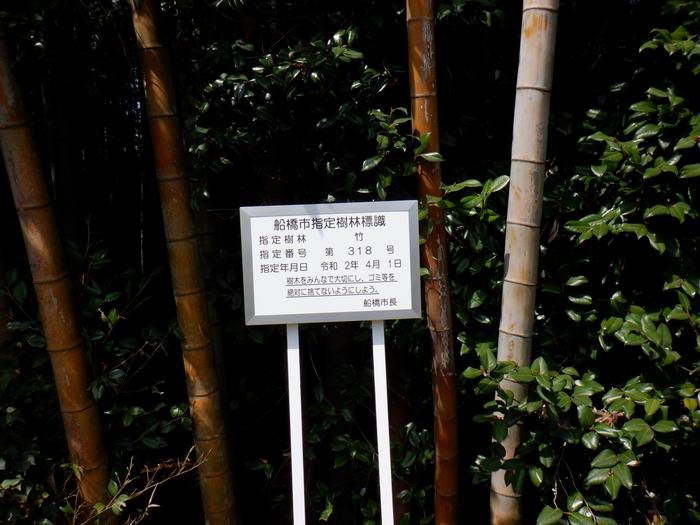 指定樹林標識