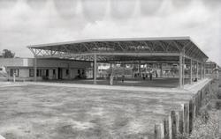 昭和58（1983）年、南三咲に日本で初めての屋根付きゲートボール場が完成しました。