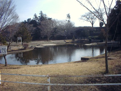 運動公園の池写真