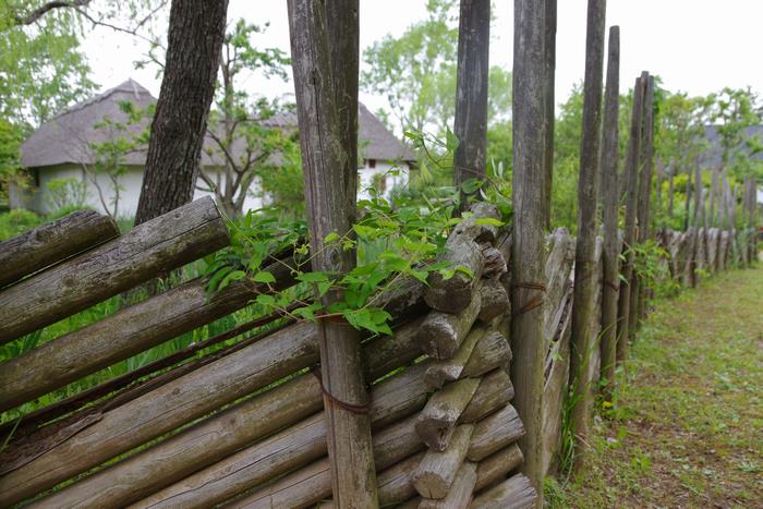 R8.4.23アンデルセン公園1
