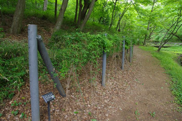 R8.4.23アンデルセン公園3