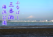 ふなばし三番瀬海浜公園