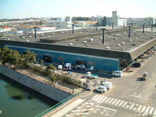 現在の船橋市地方卸売市場の写真