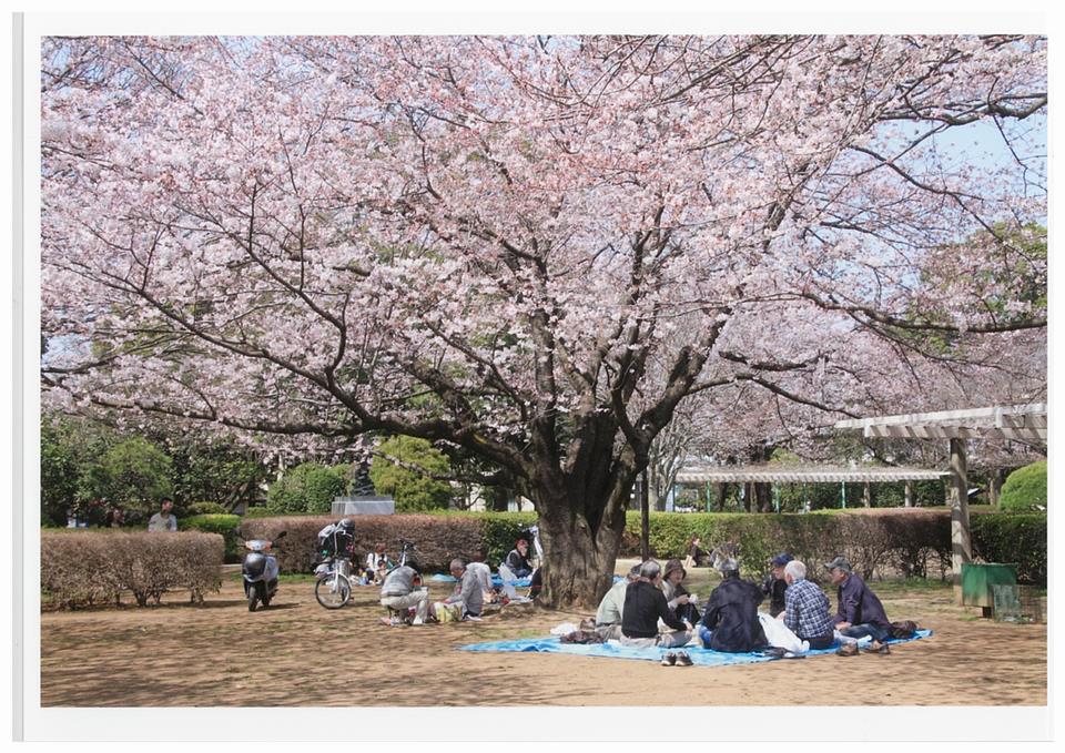 御滝公園春景