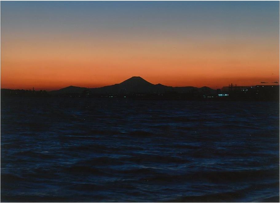 三番瀬の夕暮れ
