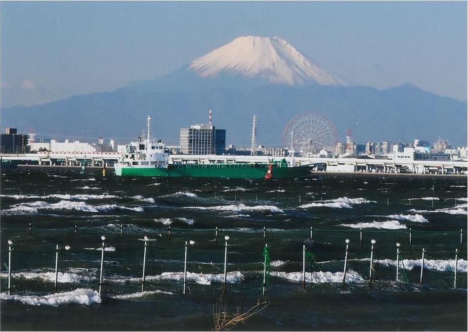 早朝の三番瀬