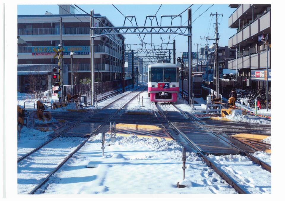 雪の朝