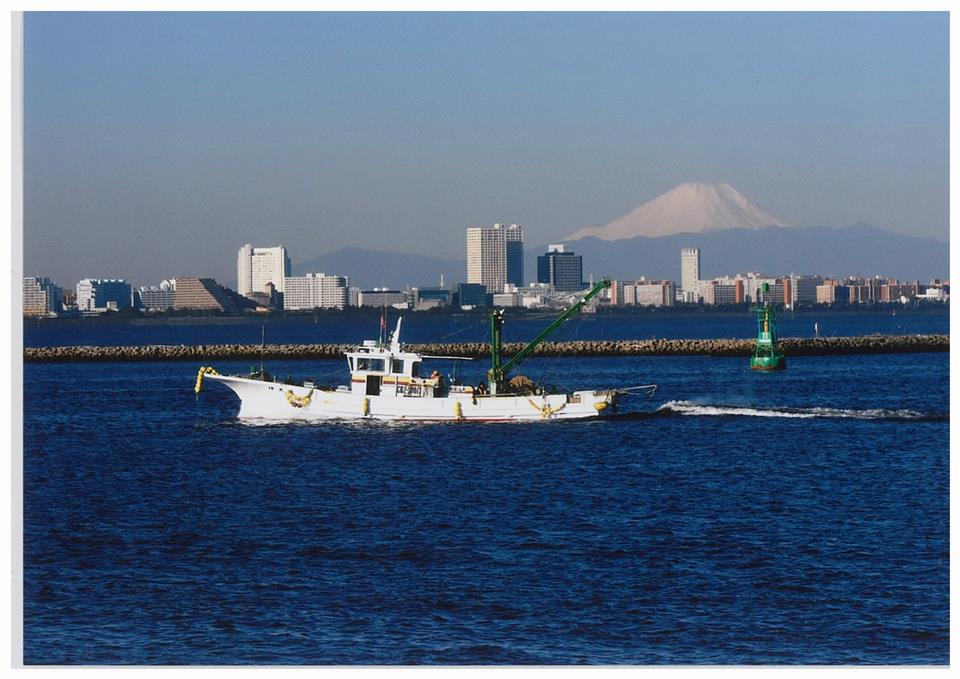 快晴の海原へ