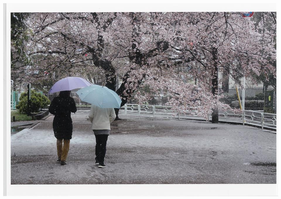 雪の薬円台公園