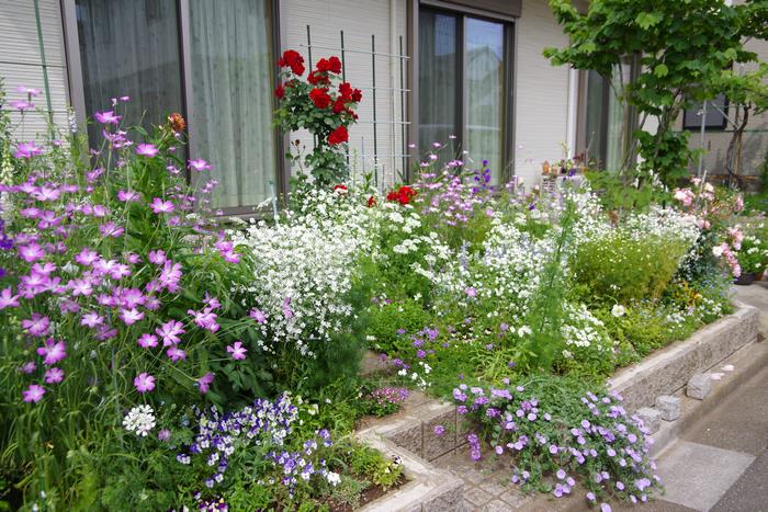 アンデルセン公園賞（春）