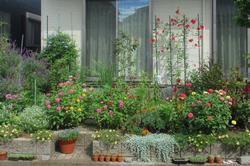 アンデルセン公園賞（秋）