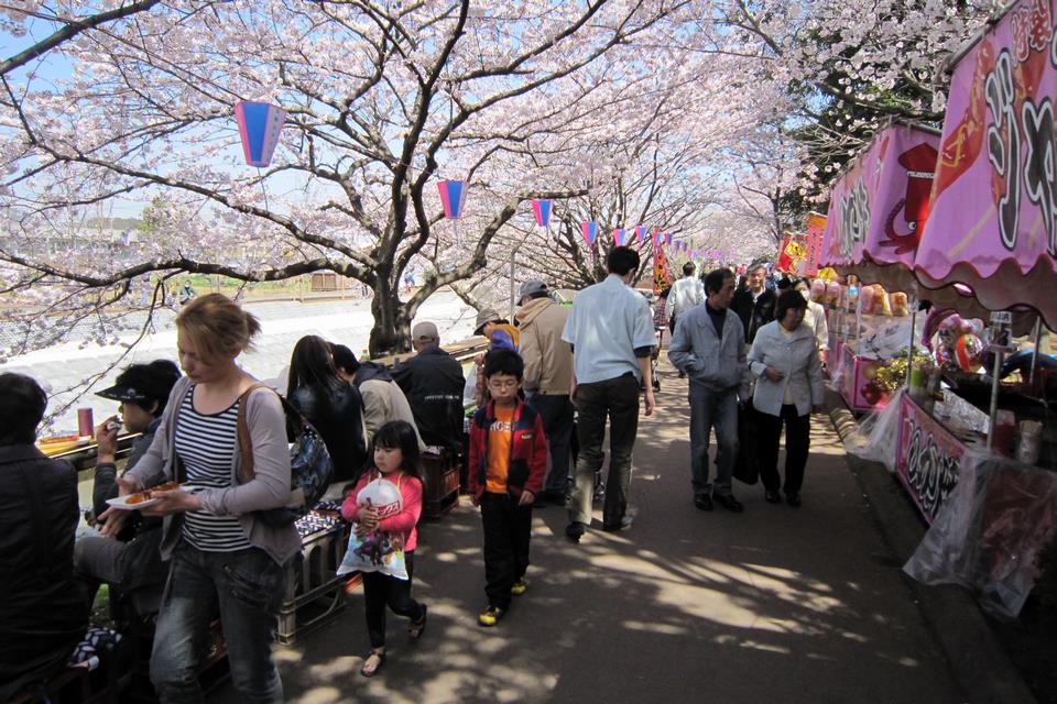 いつもそばにある風景の画像8