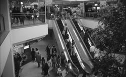 LaLaport, a large shopping center, opens where the Funabashi Health Center had once been located (photographed in 1981)