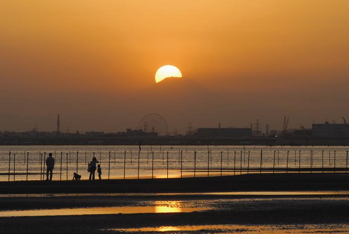 三番瀬海浜公園の画像7