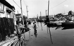 Anuncio de "Estado de emergencia por hundimiento de suelo".En Minatocho 3-chome, el agua del mar llegó hasta la carretera durante la marea alta debido al hundimiento del suelo (1971)