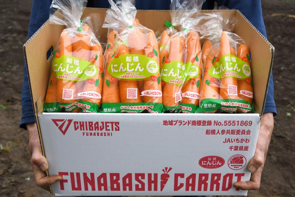にんじん箱