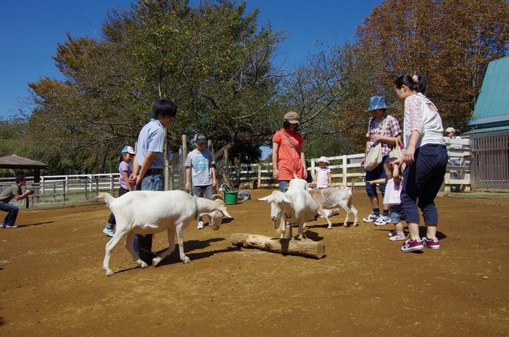 ふなばしアンデルセン公園 魅力発信サイト Funabashi Style