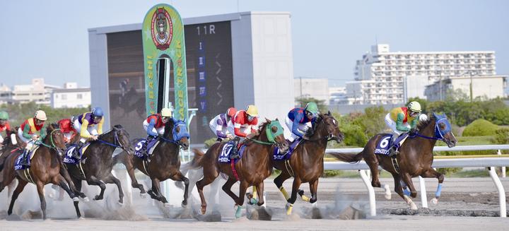 競馬場の画像2