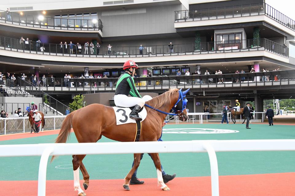 馬かぶり