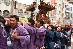 まつりの醍醐味！ 勇壮なみこしが通りを闊歩しました