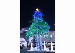 【12月】まちを彩るイルミネーション（西船橋駅　クリスマスガーデンイルミネーション2024）