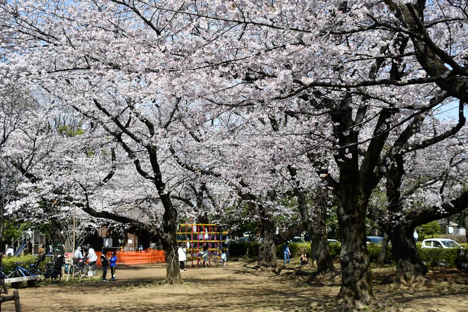 御滝公園