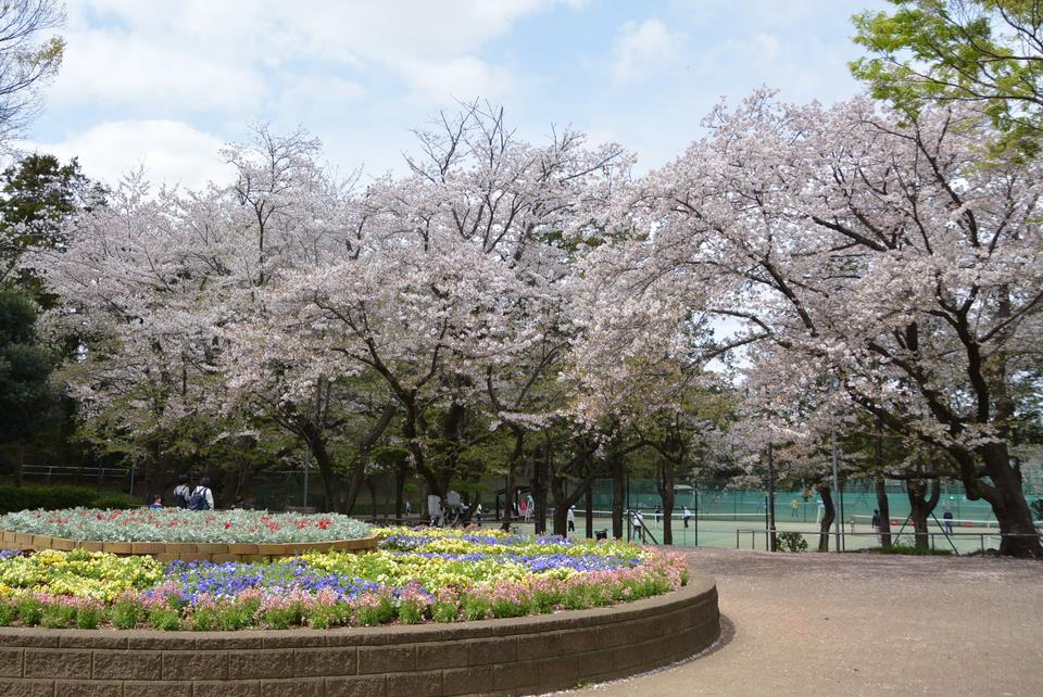 北習志野近隣公園