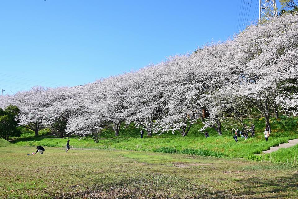 長津川ふれあい調節池