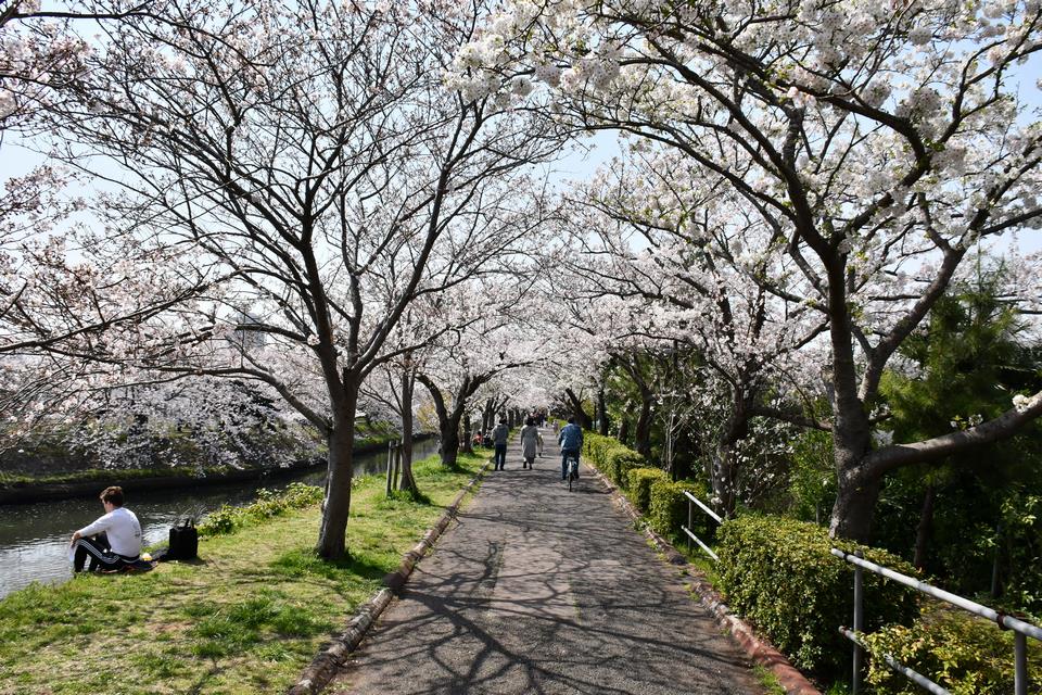 海老川