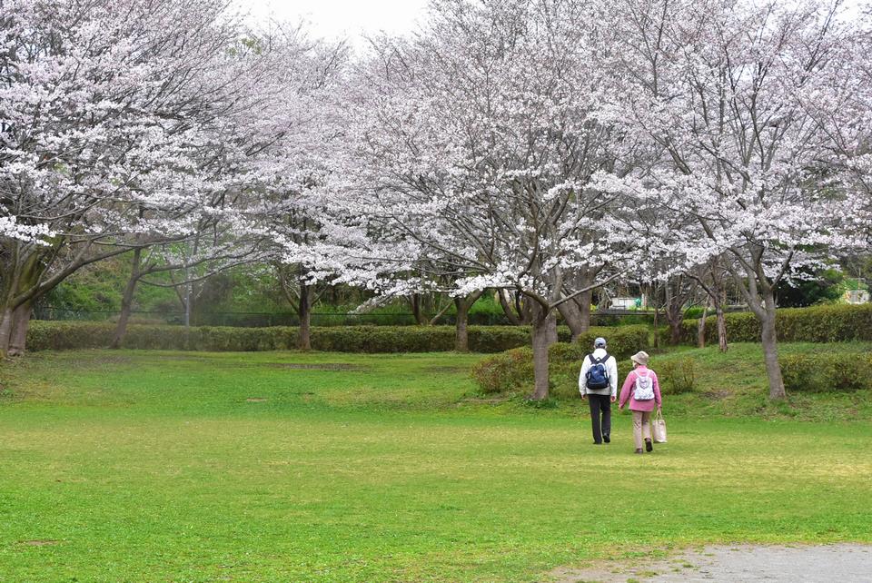 運動公園