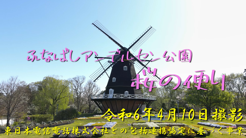 桜ドローン