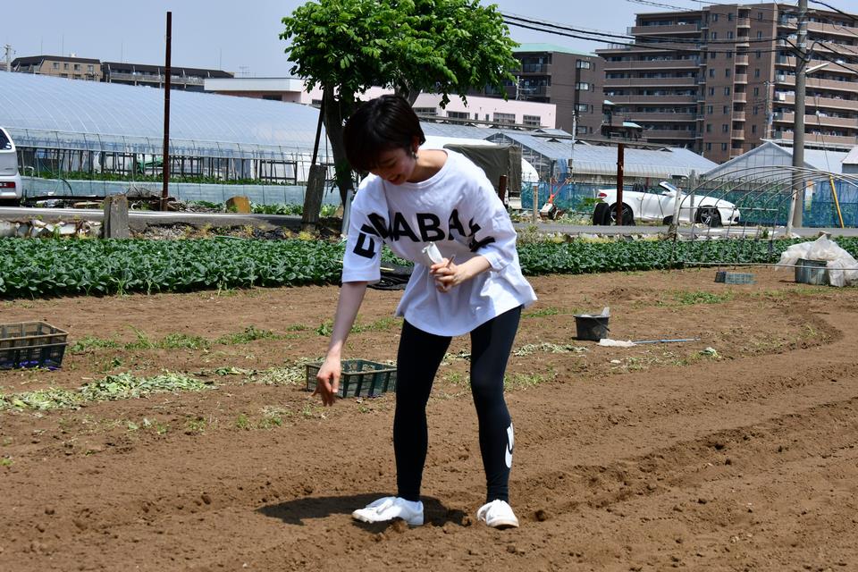 田辺ソランさん画像