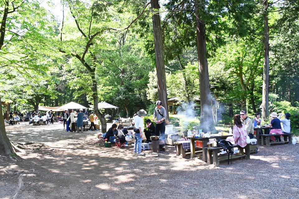 県民の森(1)