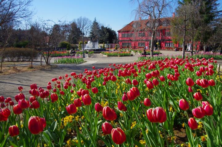 アンデルセン公園の画像6