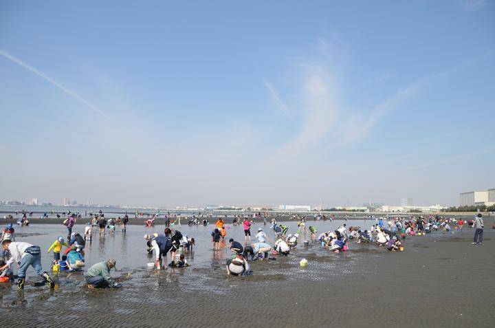 三番瀬海浜公園の画像3