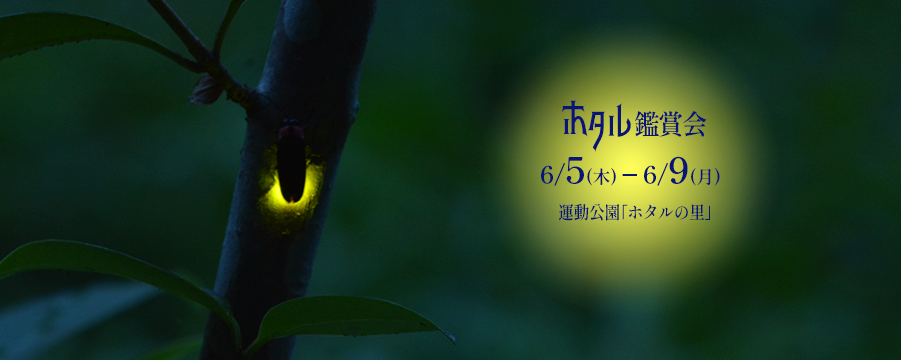 ホタル2025