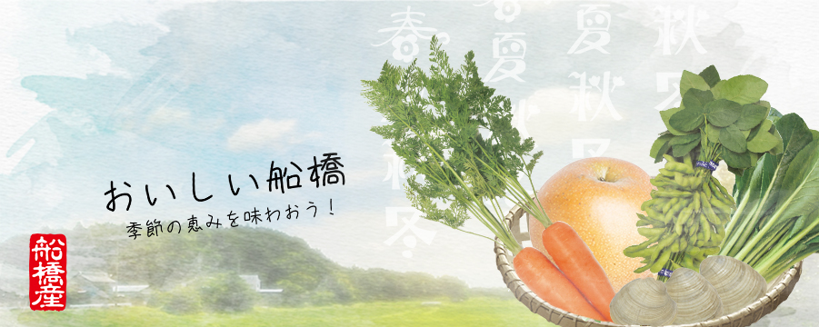 食