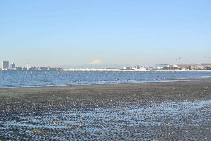 三番瀬海浜公園の画像1