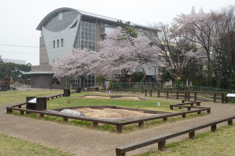 飛ノ台史跡公園博物館の画像5