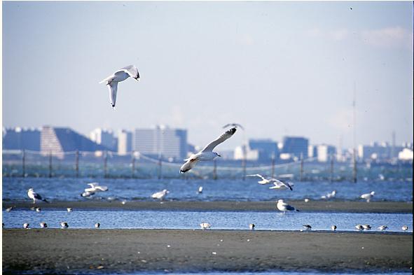 いつもそばにある風景の画像3