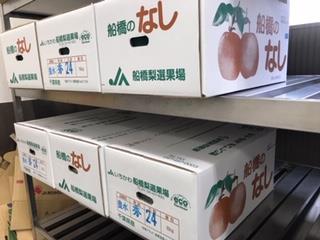 たくさん届いた「船橋産なし」