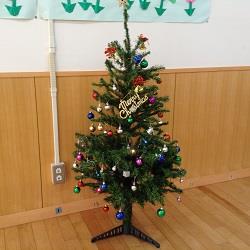 4組のクリスマスツリー