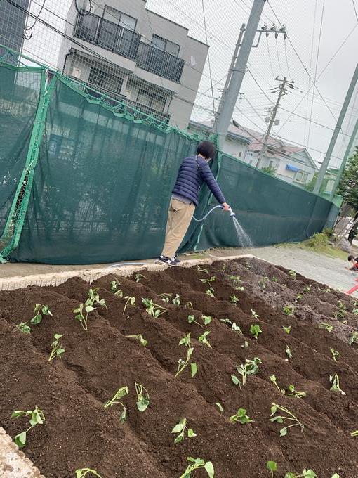 早く大きくなあれ。