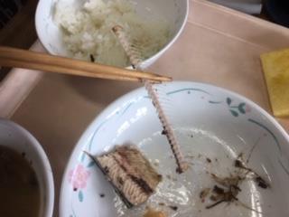 上手に食べていました!