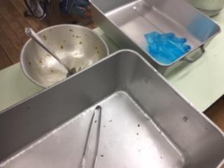 どの食缶ももちろん空に!