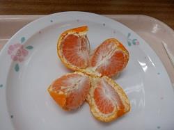 みかんの知識得ました!