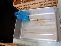 当然空っぽの食缶