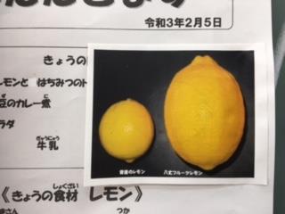 大きさの違いに驚き!