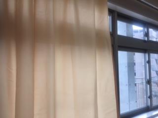 子供たちは気付くかな?