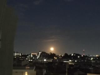 中秋の名月(芋名月)